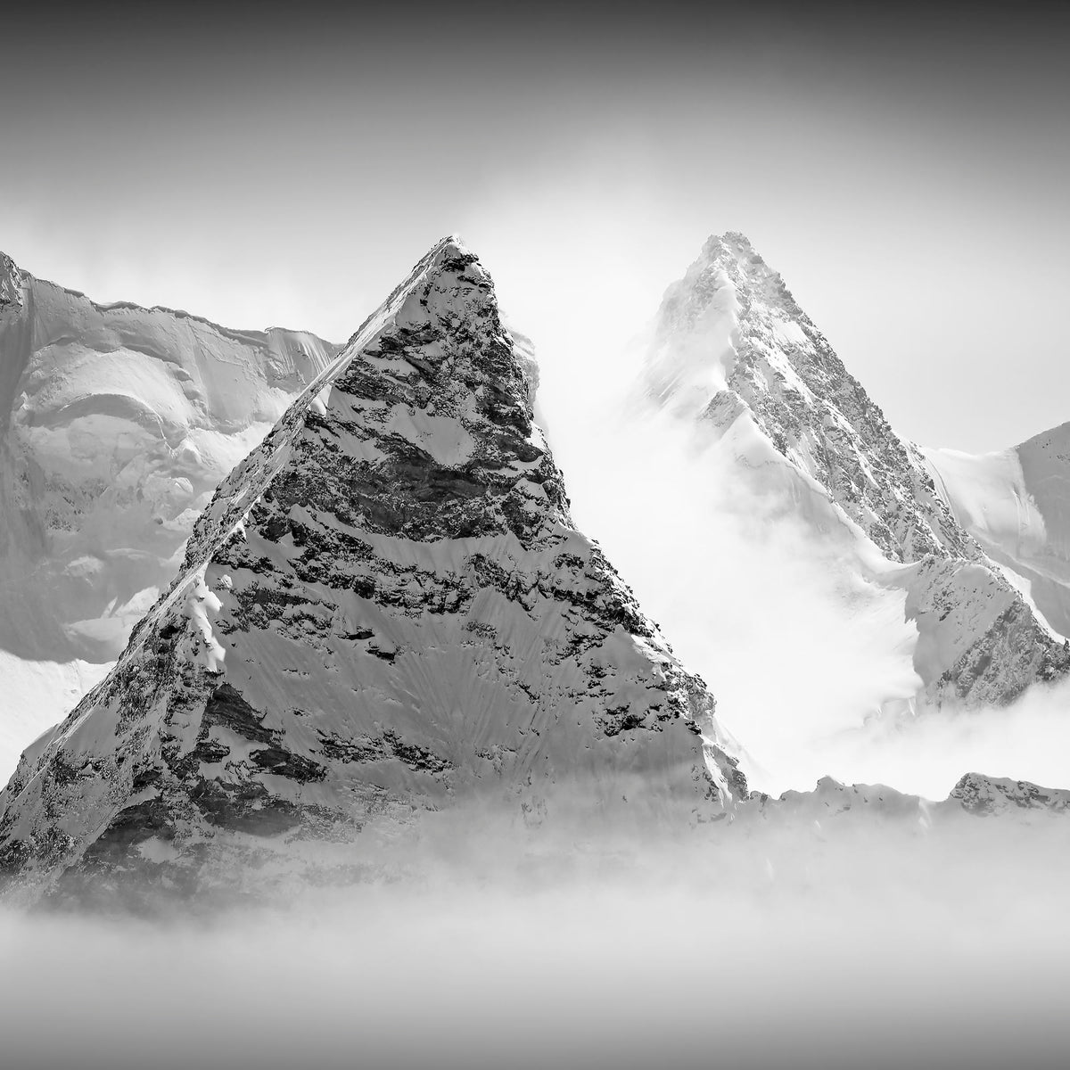 Mont Cervin, Mont Rose